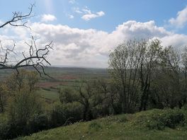 Lovely view