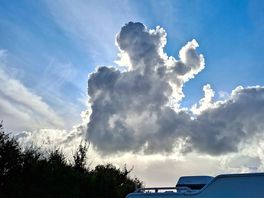 Dog in clouds