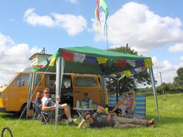 Guests on the site
