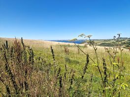 Walk to hemmick beach