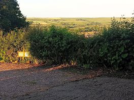 The view