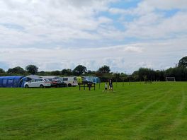 Non electric pitch