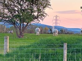 Friendly neighbours 😊