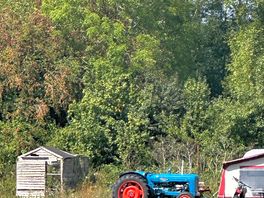 The blue tractor off the blue tractor cider label!