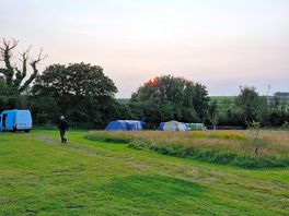 Wild meadow camping