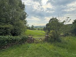 The view from pitch 29