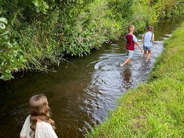 Stream