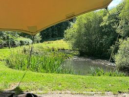 Local forest of dean pub lunch !