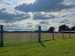 Beautiful field in front of our motorhome