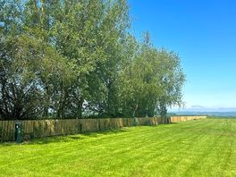 View of the pitches