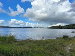 View of the lake