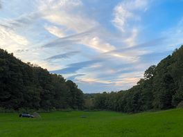 Camping field