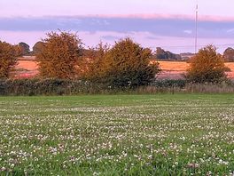 View from the campsite