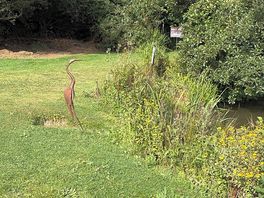 Edge of lake