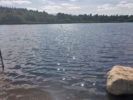 Peaceful