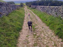 Walked towards ingleborough cave from site.