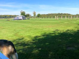 Weekday, when schools are back. grass cut, collected and flat. nice!