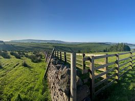 Panoramic morning view
