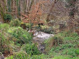 View on site.