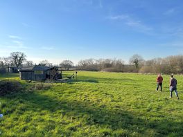 The field