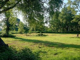 Tress for much welcome shade.