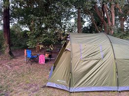 Woodland pitch