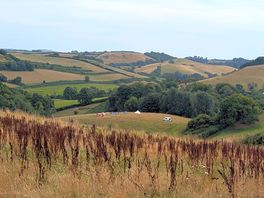 View of the site from the top field of woodland walk
