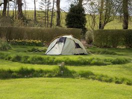 Camp out on the lawns in the Edwardian Walled Garden