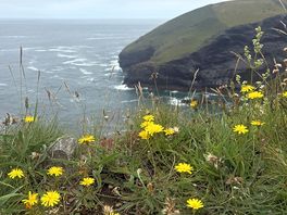 Coastal path photo