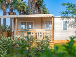 Bungalow dorado Plus