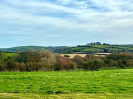 View from our campervan in cannamore camping