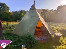 Wild tipi