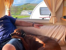 Even our dogs found it relaxing