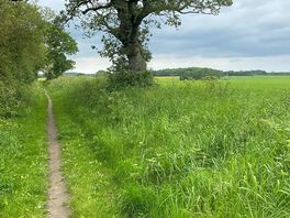 Walk