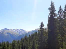 View from the cable car in bad gastein