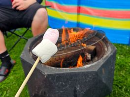 Fire pits provided with fire logs available at a reasonable price