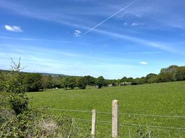 Campsite view from opposite field