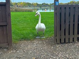 Visitor for breakfast