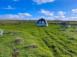 Our pitch