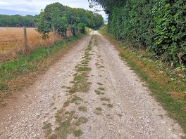 Farm loop walk