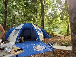 Perfect pitch for a 6 man tent ⛺️