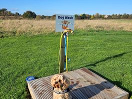 Dog wash