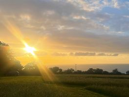 Evening sun.