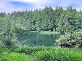 Nearby walk
