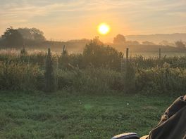 Morning sun
