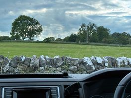 View from van