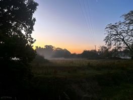 Midsummer sunrise across the meadows.