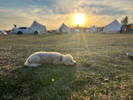 Taking it easy