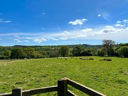 View from campsite