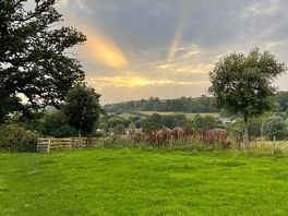 Views nearby